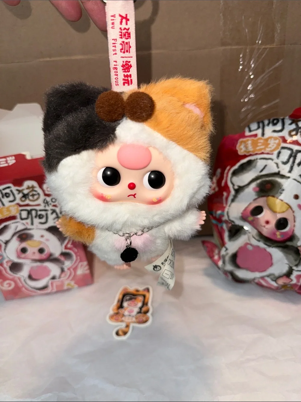 Baby Three Cats And Dogs Confirmed Calico Cat